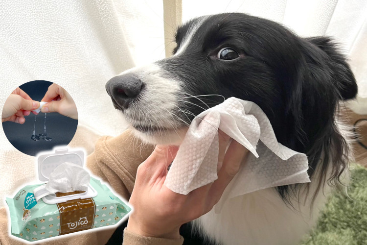 純水99％犬猫ペット用 「トジコ 厚手ウェットティッシュ」