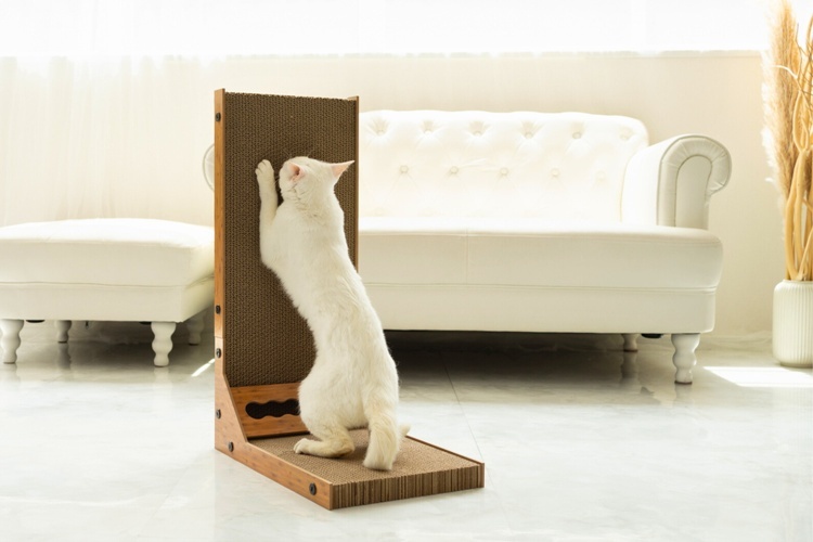 1. キーテイル にゃんネイルウォール【壁面設置型でベッドとしても使える】