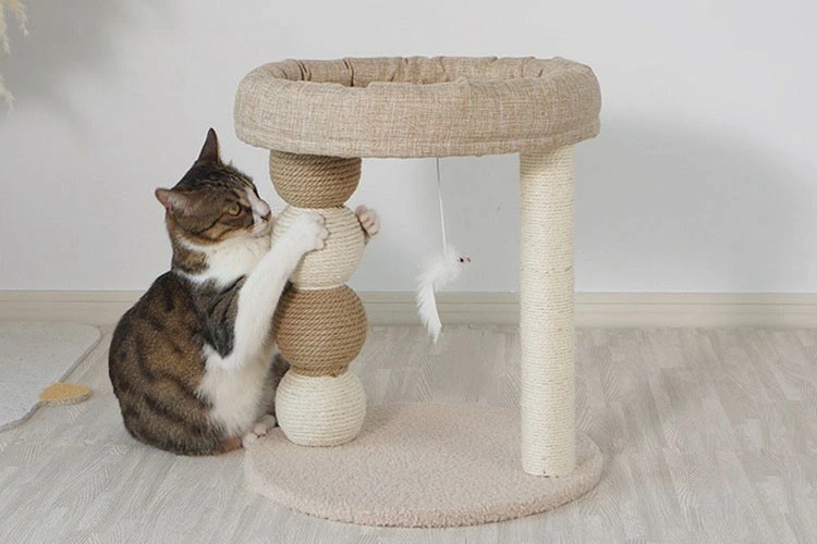 9. キャットタワー【多彩な機能が備わった省スペースなキャットタワー】