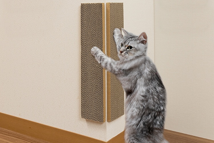 14. SANKO おくだけ吸着コーナーにも貼れる猫のつめとぎ 段ボール【のり痕が残らない仕様】
