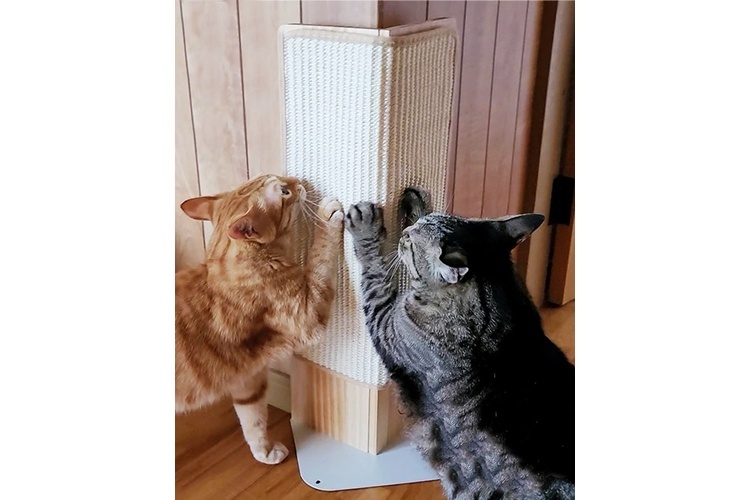 17. コーナー爪とぎ 木製 キャットスクラッチャー【巾木のある壁面にも設置可能】