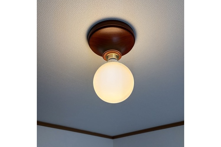 ACME Furniture/アーヴィン シーリング ランプ