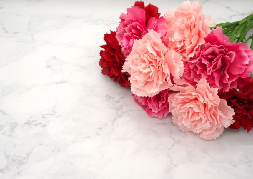 母の日に人気のギフト25選｜スイーツや実用的な商品まで紹介｜メンズライフスタイルWEBマガジン｜GOODA【グーダ】