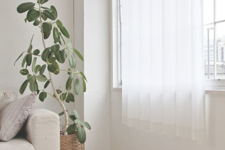 【イージーオーダーカーテン】レースカーテン「レースバリア」