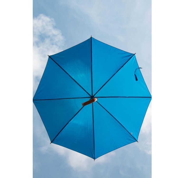 機能と性能で選ぶ