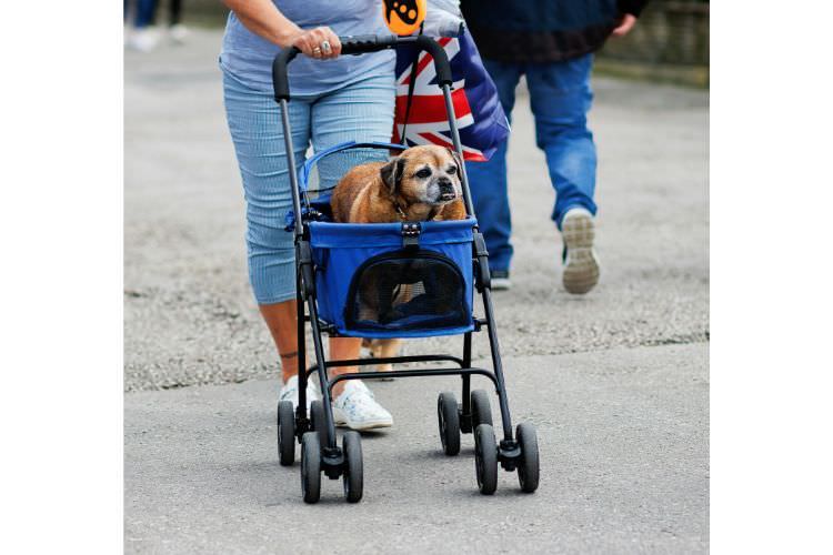 走行性の高さで選ぶ