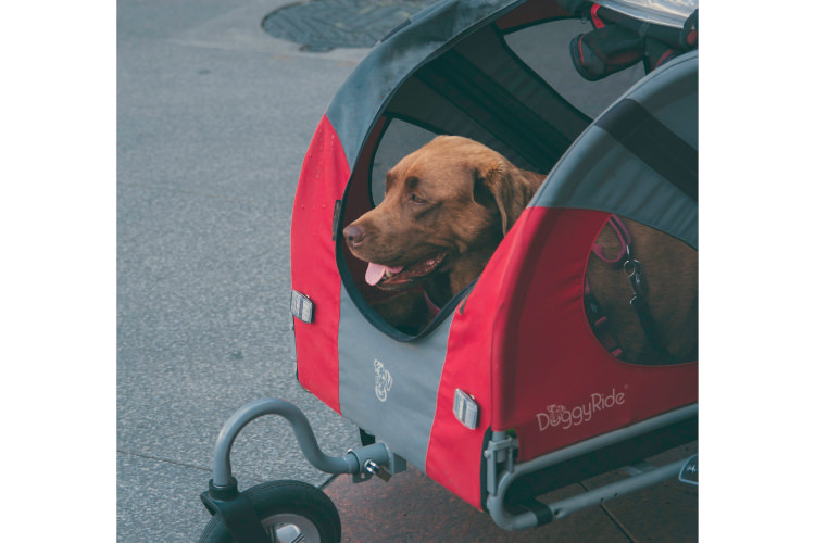 大型犬用のペットカートのおすすめ4選