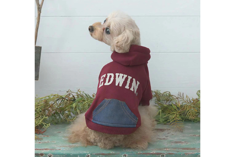 2．【デニム風のポケット付き】EDWIN デニムライクポケット付パーカー