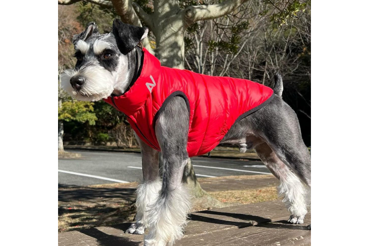 11．【リバーシブル仕様の中綿ジャケット】AiryVest リバーシブルダウンジャケット