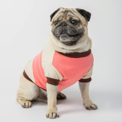 愛犬に服を着せるメリットとは？お洒落なドッグウェア25選｜季節・用途別