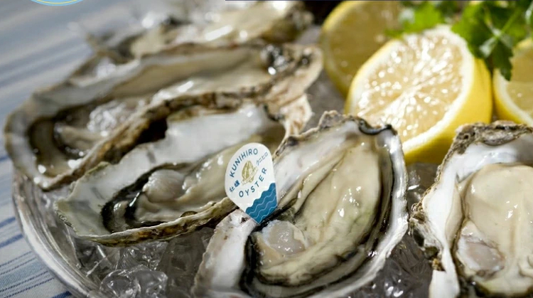 1.クニヒロMarineBox 生食用 瀬戸内海産 冷凍殻付き牡蠣【ナイフなしで殻が開く生食用】