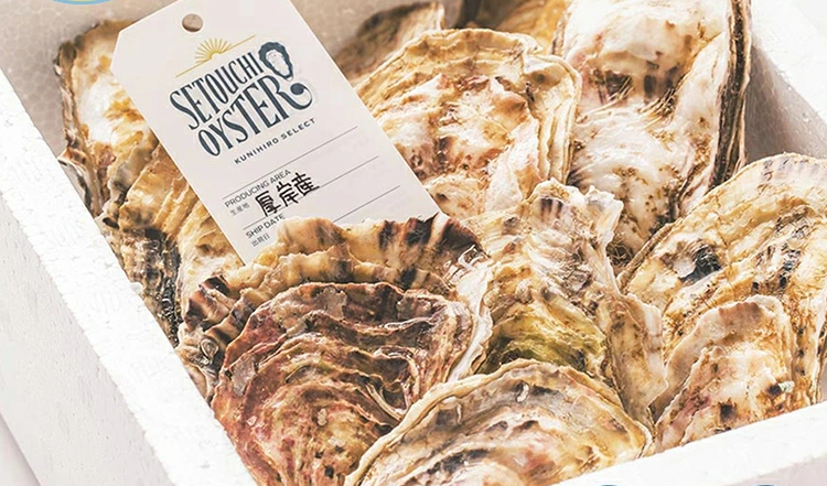 5.クニヒロMarineBox 生食用 殻付き牡蠣セット 3産地食べ比べ【冷蔵で届く産地別セット】