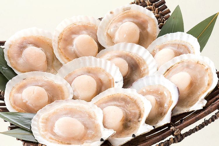 17.港ダイニングしおそう 殻付きホタテ【網にのせて焼ける片貝】