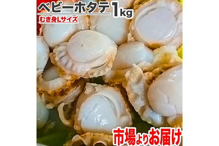 18.進風水産 ベビーホタテ Lサイズ【1kgで100〜150個の小粒】