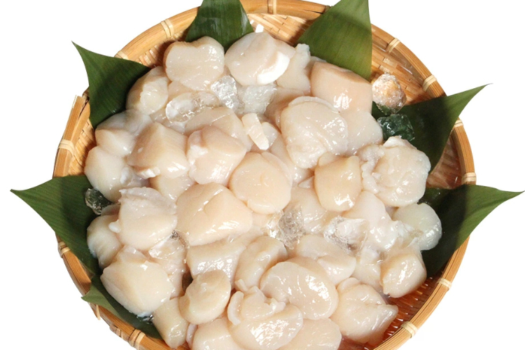 19.越前かに問屋ますよね 生ホタテ貝柱【刺身で食べられる訳あり1kg】