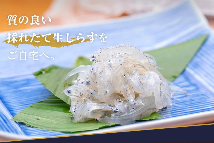 24.クニヒロMarineBox 瀬戸内海産 冷凍生シラス【氷水解凍で食べる生シラス】