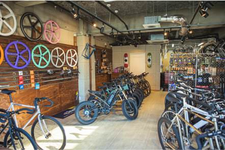 BICYCLE & SUP STORE FAVUS