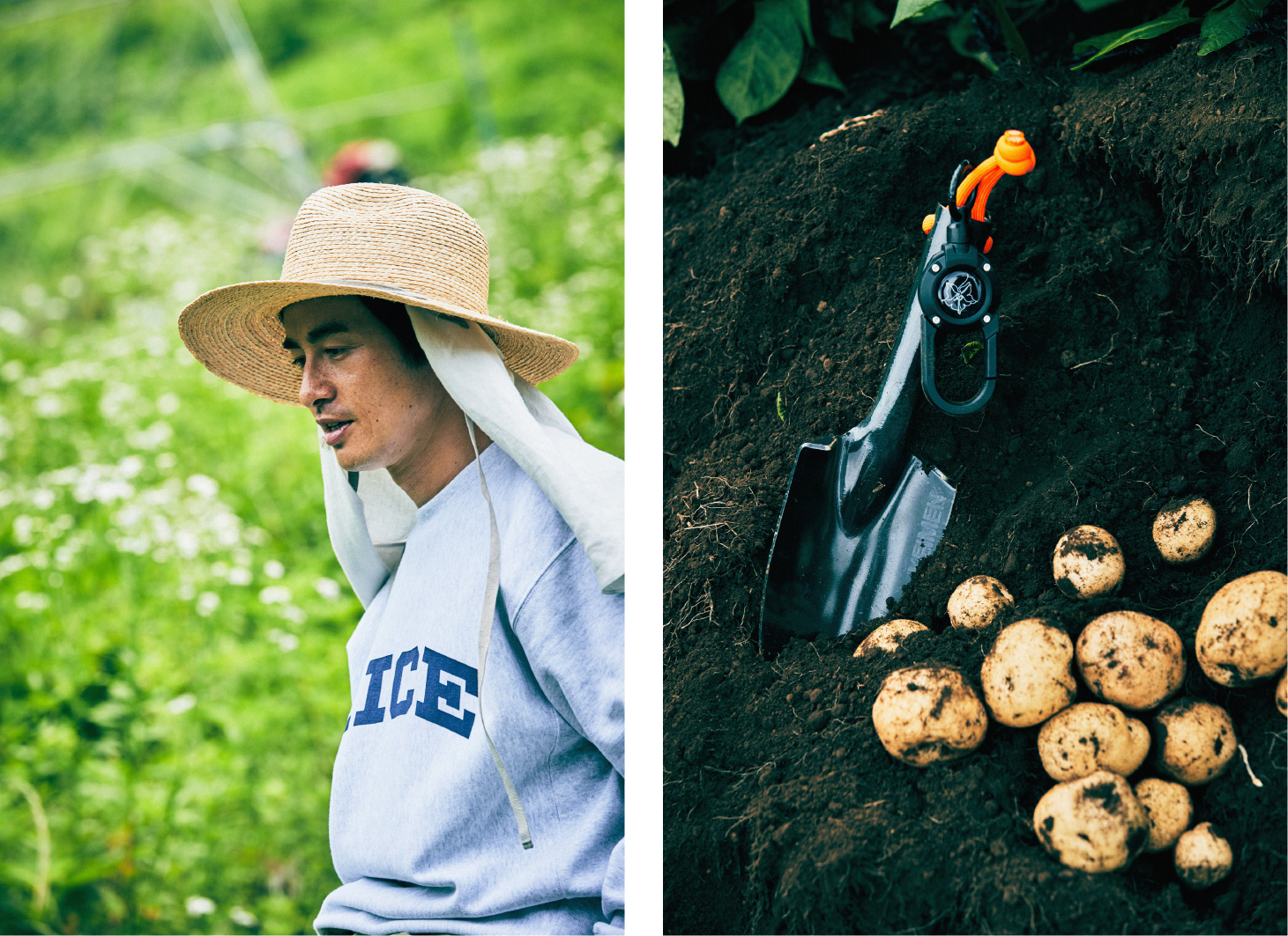 専門のスクールに通い野菜づくりを１から学び徐々に成果が出はじめた