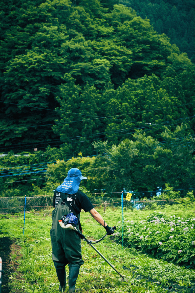 土を耕し、雑草を刈り取る さあ、今年は どんな野菜を育てよう