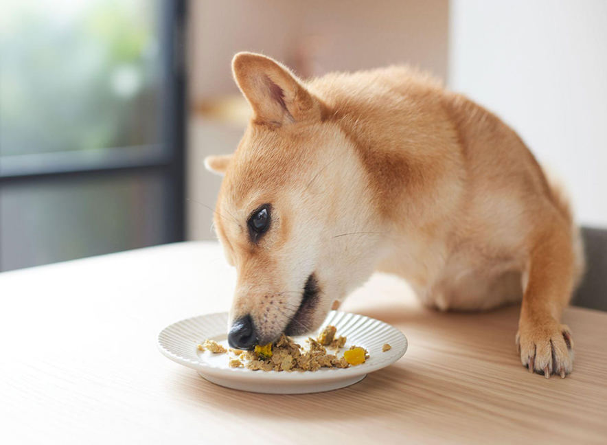 手作りご飯ココグルメ公式ストア