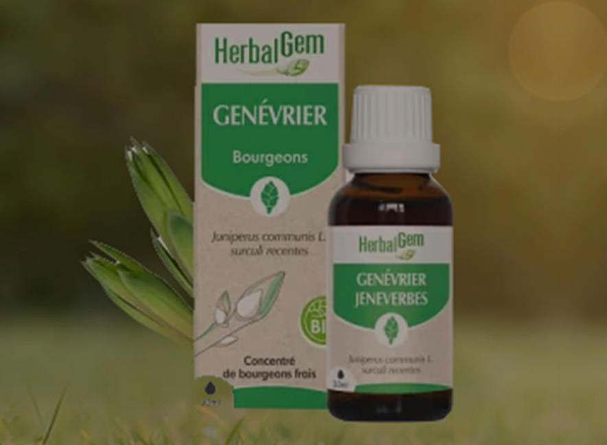 ハーブセンター