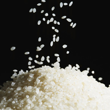 山川食糧オートミール研究所