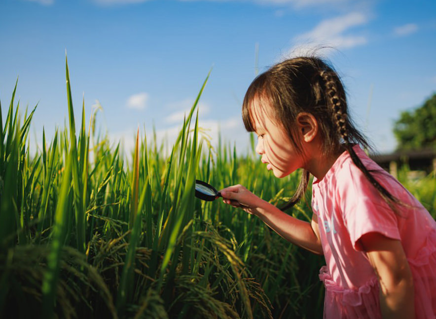 山川食糧オートミール研究所