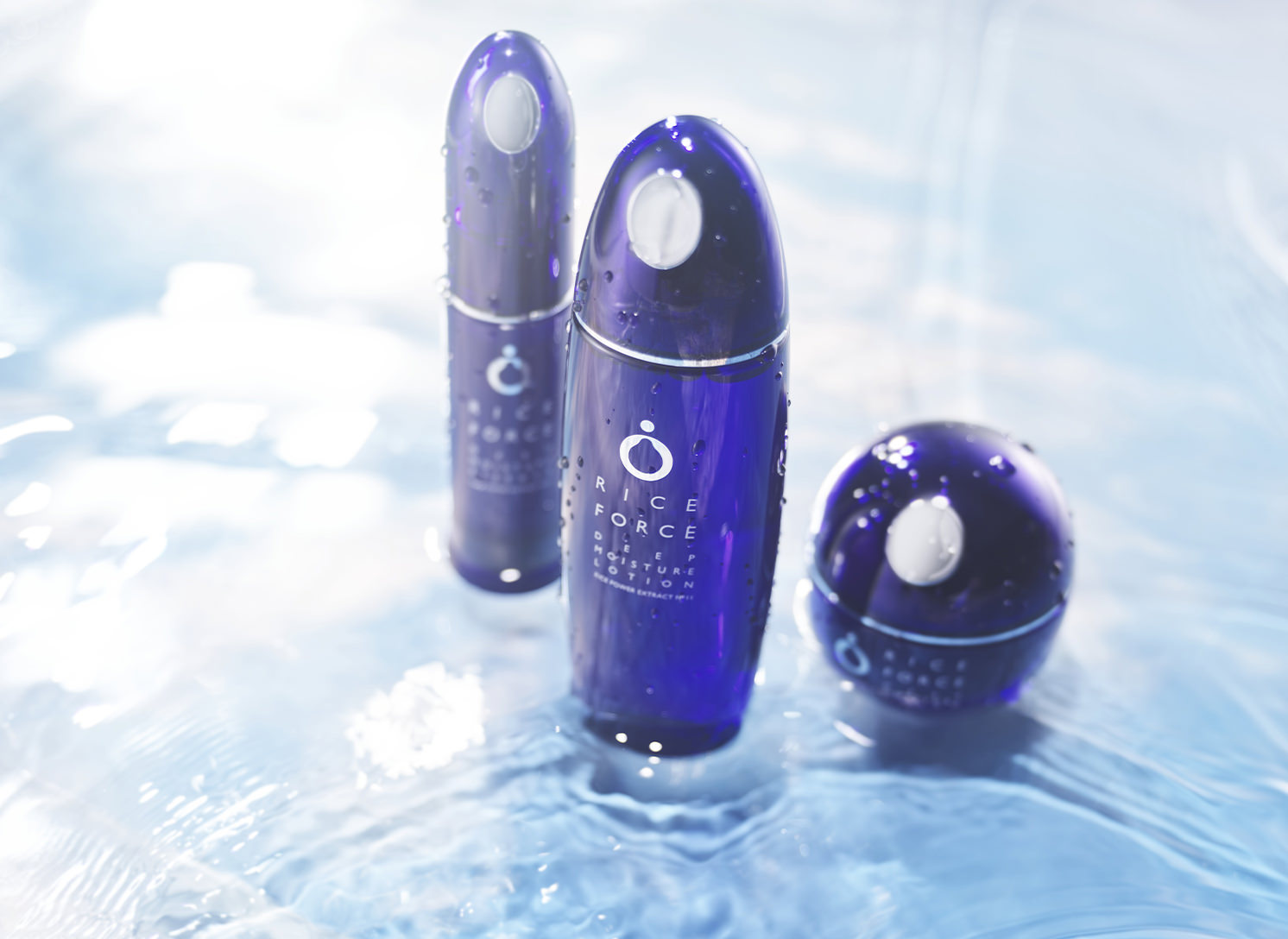 ライスフォース楽天市場店