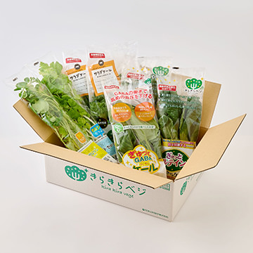安心安全な国産野菜　きらきらベジ