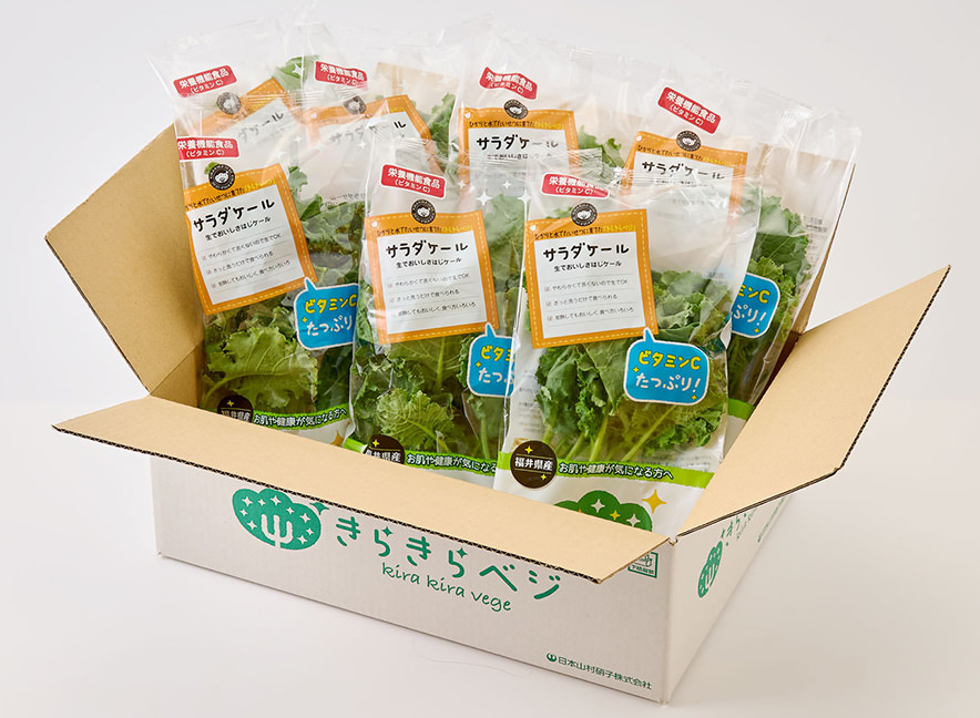 7パック入り！一週間分のサラダケールセット 2,480円