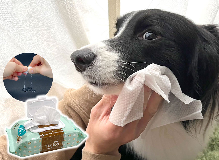 純水99％犬猫ペット用 「トジコ 厚手ウェットティッシュ」 980円～