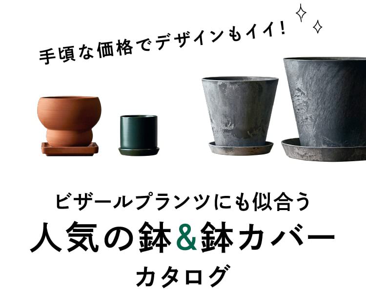 手頃な価格でデザインも良し。多肉植物にも合う人気の鉢＆鉢カバー10選