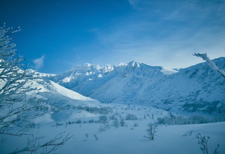 専門ガイドの案内でバックカントリーに挑戦してみた｜メンズライフ