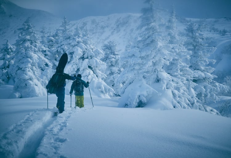 ■■最終特価■アルマダ■TST■183cm■深雪・パウダー・バックカントリー■■ □□最終特価□アルマダ□TST□183cm□深雪・パウダー・バック